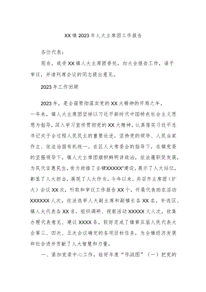 xx镇2023年人大主席团工作报告.docx