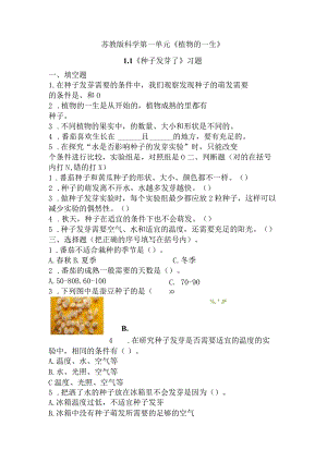 1-1种子发芽了(练习)三年级科学下册（苏教版）.docx