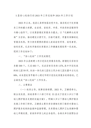 X县安心托幼行动2023年工作总结和2024年工作计划.docx