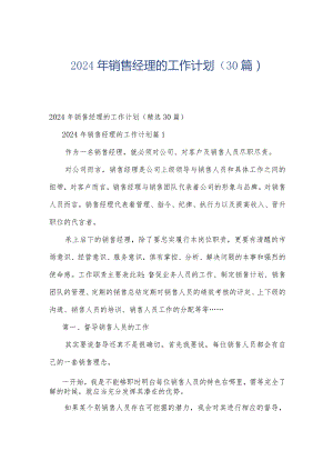 2024年销售经理的工作计划（30篇）.docx