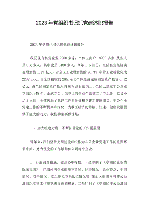 2023年党组织书记抓党建述职报告.docx