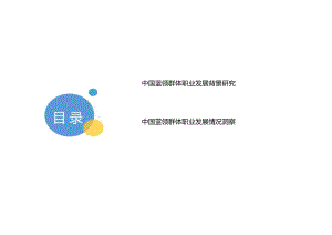 2023蓝领群体就业研究报告.docx