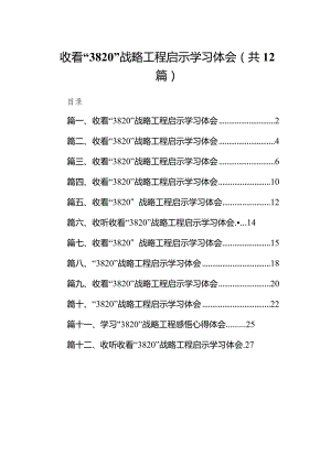 收看“3820”战略工程启示学习体会汇编12篇（精选版）.docx