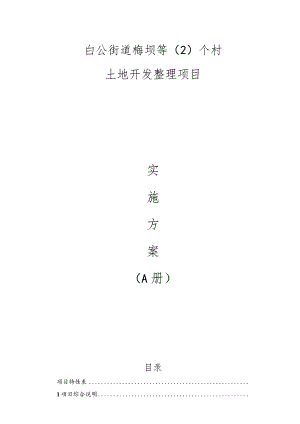 白公街道梅坝等（2）个村土地整理项目实施方案A册.docx