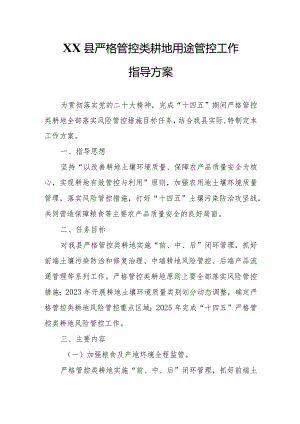 XX县严格管控类耕地用途管控工作指导方案.docx