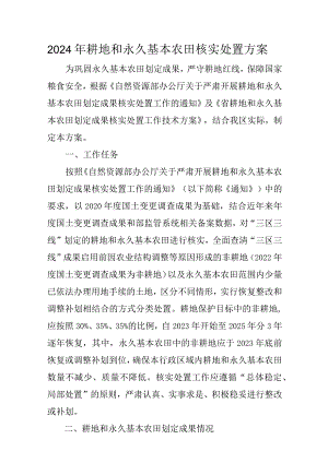 2024年耕地和永久基本农田核实处置方案.docx