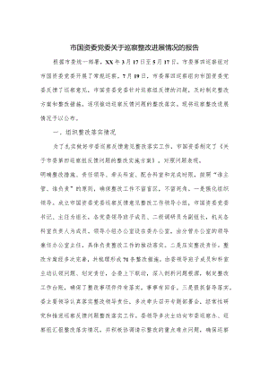 市国资委党委关于巡察整改进展情况的报告.docx