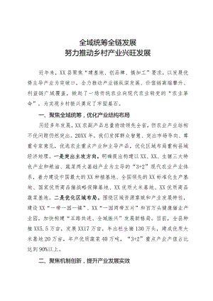 在乡村振兴大会上的经验交流发言材料.docx