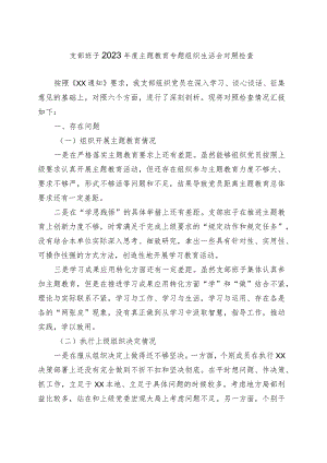 支部班子2023年度主题教育专题组织生活会对照检查.docx