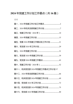 2024年党建工作计划工作要点16篇（详细版）.docx