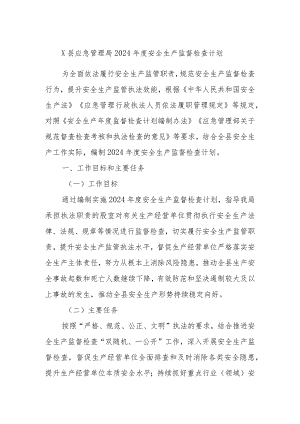 X县应急管理局2024年度安全生产监督检查计划.docx