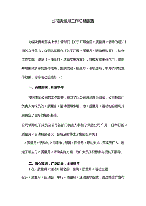 公司质量月工作总结.docx