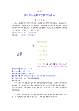 偏硅酸钠项目可行性研究报告.docx