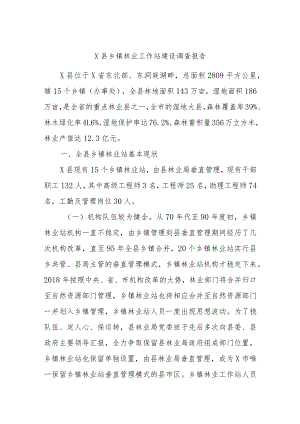 X县乡镇林业工作站建设调查报告.docx