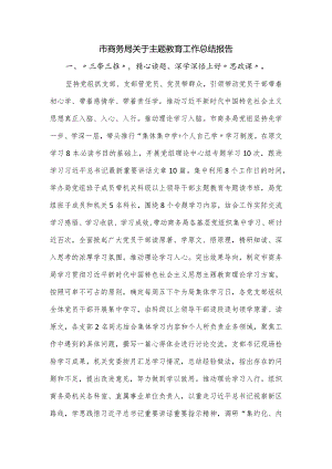 市商务局关于主题教育工作总结报告.docx