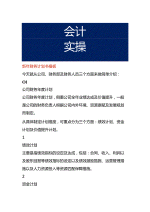 新年财务计划书模板.docx