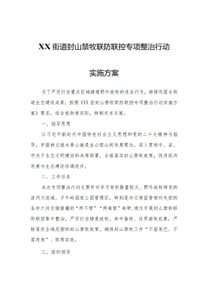 XX街道封山禁牧联防联控专项整治行动实施方案.docx