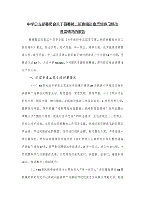 中学总支部委员会关于县委第二巡察组巡察反馈意见整改进展情况的报告.docx