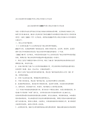 县文化旅游体育局2023年第三季度乡村振兴工作总结.docx