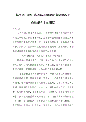 某市委书记在省委巡视组反馈意见整改工作动员会上的讲话.docx