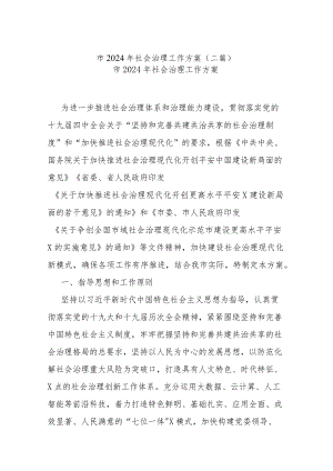 市2024年社会治理工作方案(二篇).docx