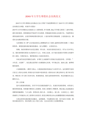 20XX年大学生寒假社会实践范文.docx