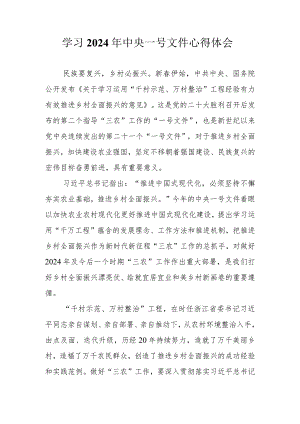 （2篇范文）学习2024年中央一号文件心得体会.docx
