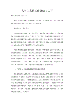 大学生家访工作总结怎么写.docx