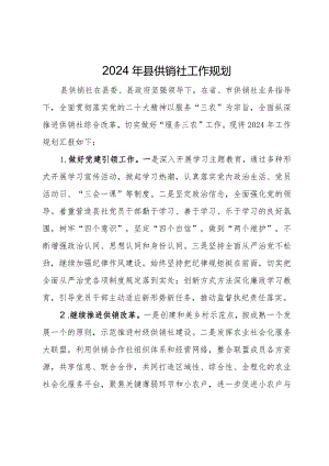 2024年县供销社工作规划.docx