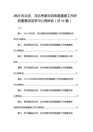 在北京、河北考察灾后恢复重建工作时的重要讲话学习心得体会(精选11篇汇编).docx