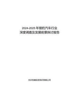 2024-2025年猎豹汽车行业深度调查及发展前景研究报告.docx