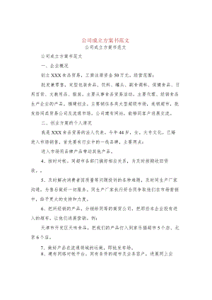 公司成立实施计划书范文.docx