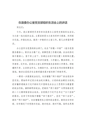 在县委办公室党支部组织生活会上的讲话&县2023年度定点帮扶工作总结.docx