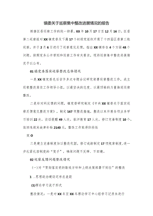 镇委关于巡察集中整改进展情况的报告.docx