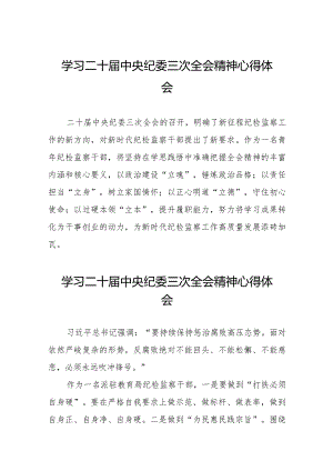 关于二十届中央纪委三次全会精神的心得体会简短发言十九篇.docx