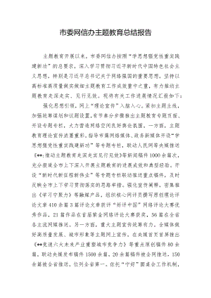 市委网信办主题教育总结报告.docx