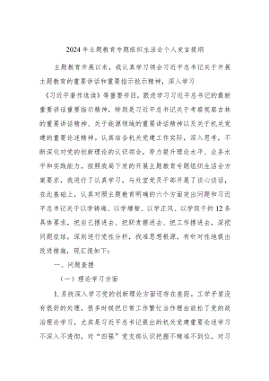 2024年主题教育专题组织生活会个人发言提纲.docx