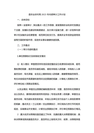 县农业农村局2023年内部审计工作计划.docx