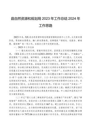 县自然资源和规划局2023年工作总结2024年工作思路.docx