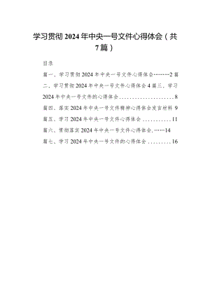 （7篇）学习贯彻2024年中央一号文件心得体会合集.docx