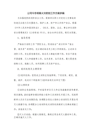 公司今冬明春火灾防控工作方案多篇.docx