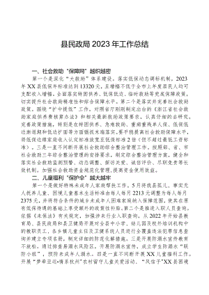 县民政局2023年工作总结.docx