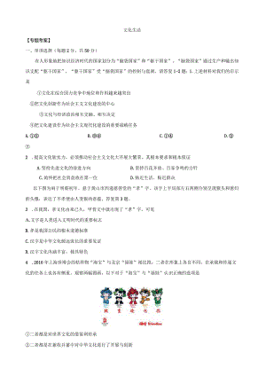 文化生活综合试题.docx
