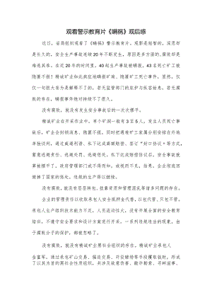 观看警示教育片《瞒祸》观后感.docx