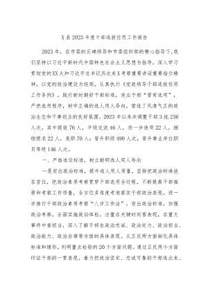 X县2023年度干部选拔任用工作报告.docx