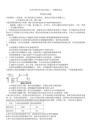 宜宾市四中高2021级一诊模拟考试理科综合试题.docx