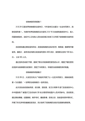 结核病督导简报(10篇).docx
