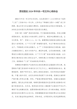 （9篇）贯彻落实2024年中央一号文件心得体会.docx