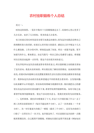 农村挂职锻炼个人总结.docx