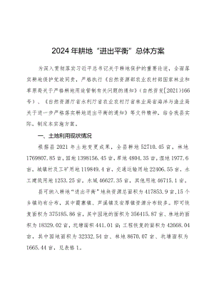 2024年耕地“进出平衡”总体方案.docx